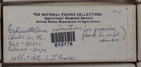 Image Associated With the Occurence